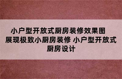 小户型开放式厨房装修效果图   展现极致小厨房装修 小户型开放式厨房设计